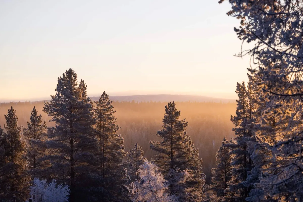 Odin Lodge – The Master Panoramic Villa — Mánahlíð (7)