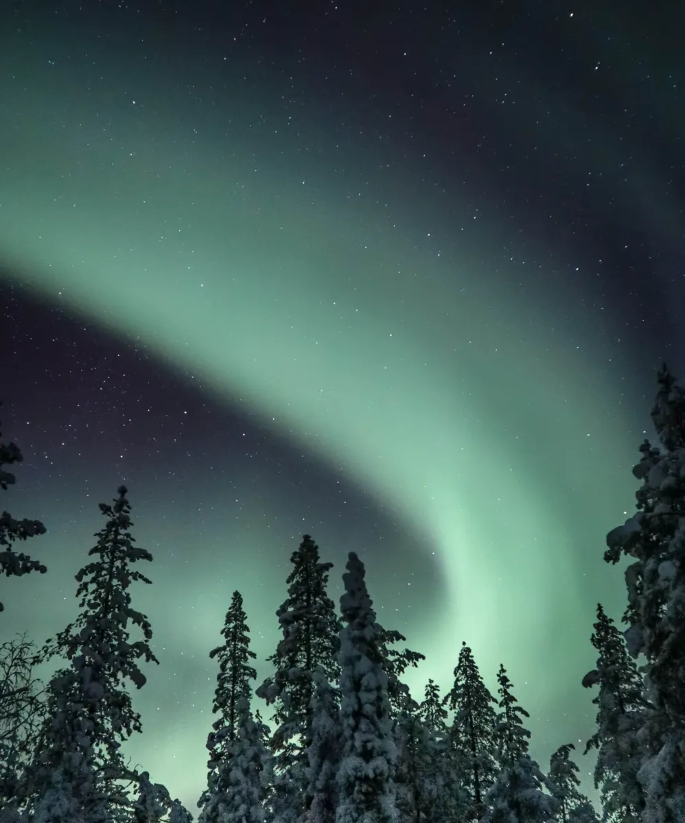 Aurora Cabin – Northern Lights Retreat — Mánahlíð (9)