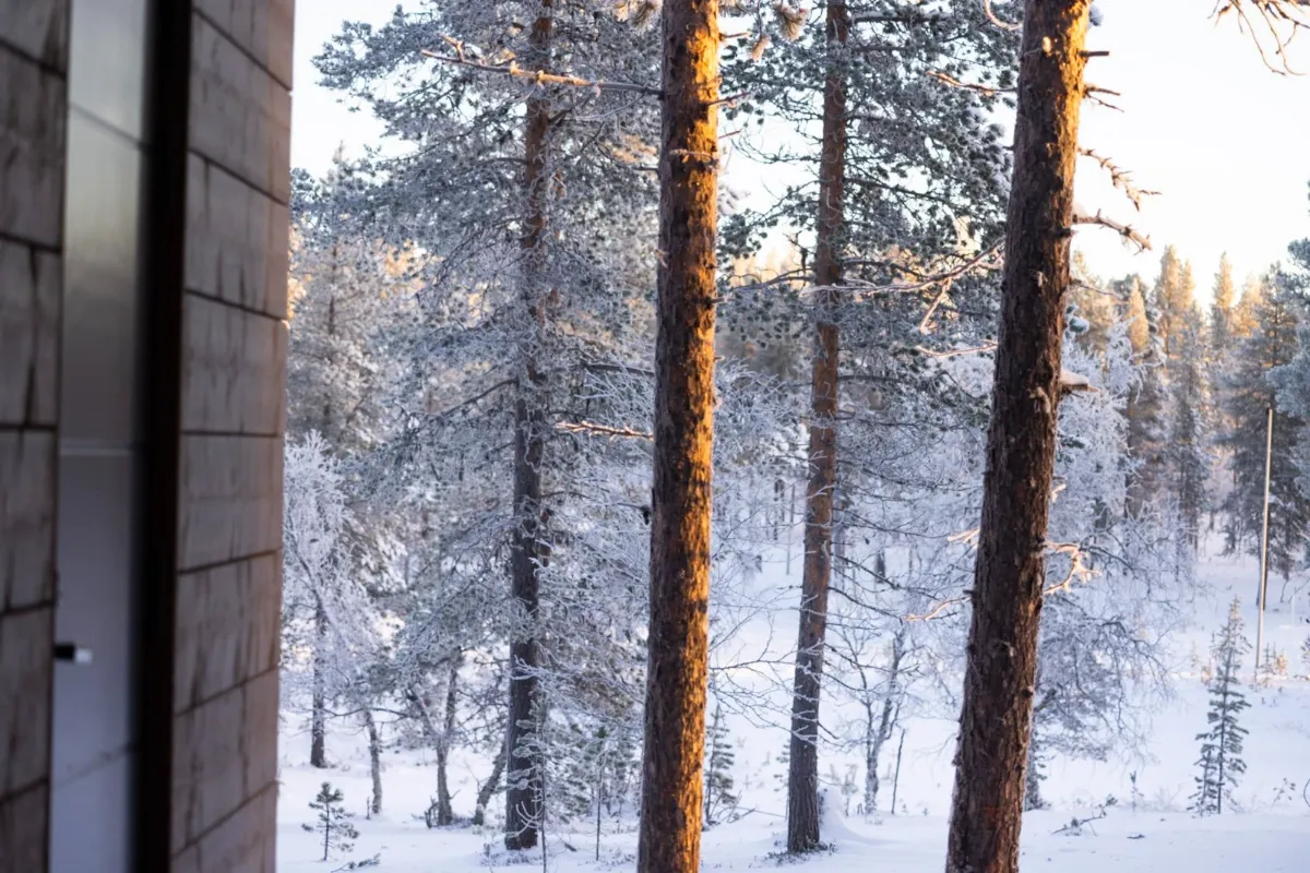 Aurora Cabin – Northern Lights Retreat — Mánahlíð (8)
